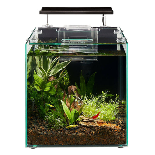 Top Fin Shrimp and Plant Oasis Tank