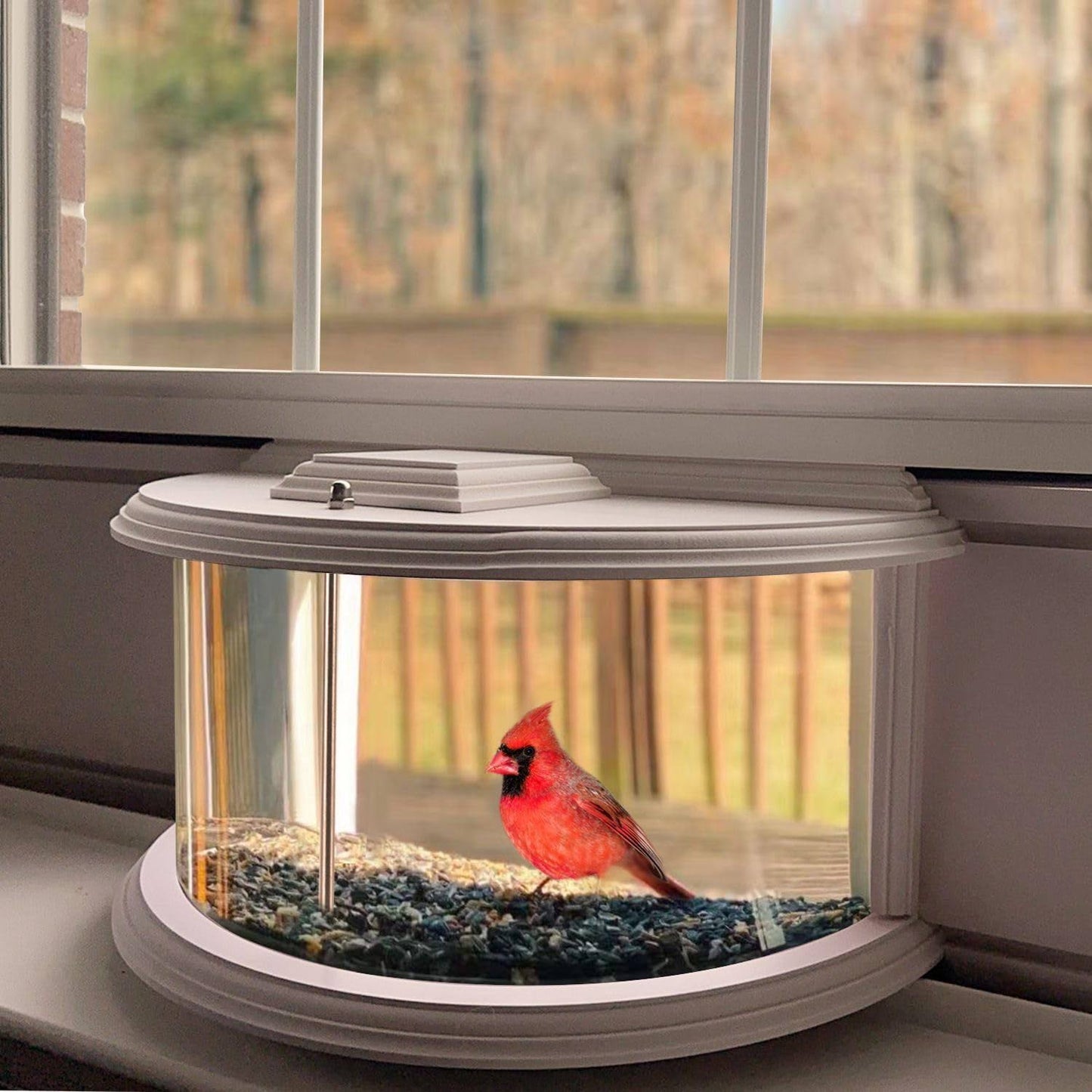 BAIAPEY in Window Bird Feeders for Viewing - 180° Clear View Bird Feeder, Durable, Elegant in-Window Bird Feeder for Bird Watching-Bring Joy to Your