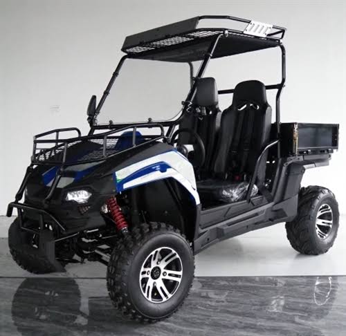 TrailMaster Monster Challenger Gas 200EUX UTV 2 Seater Utility Vehicle