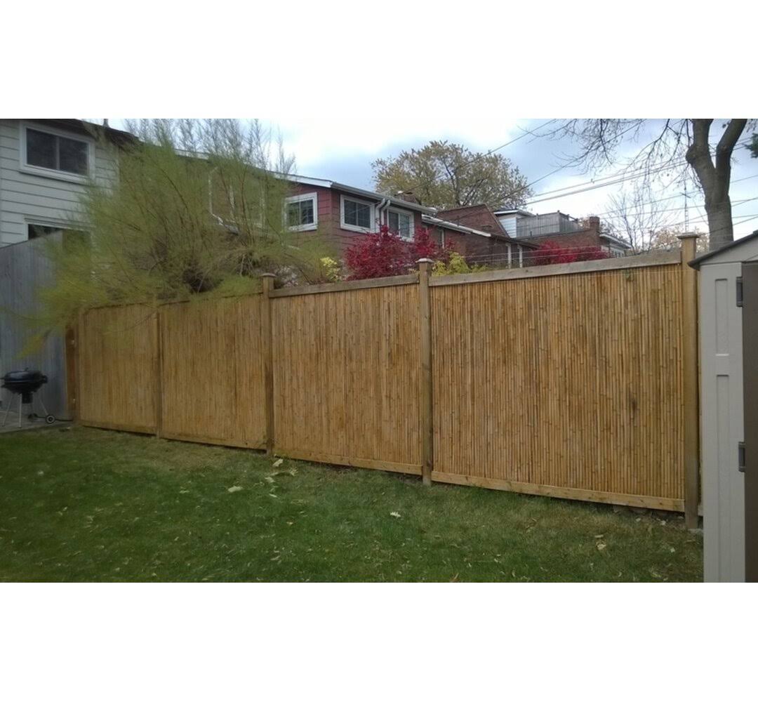 Tonkin 6 ft. H x 8 ft. L Bamboo Fence