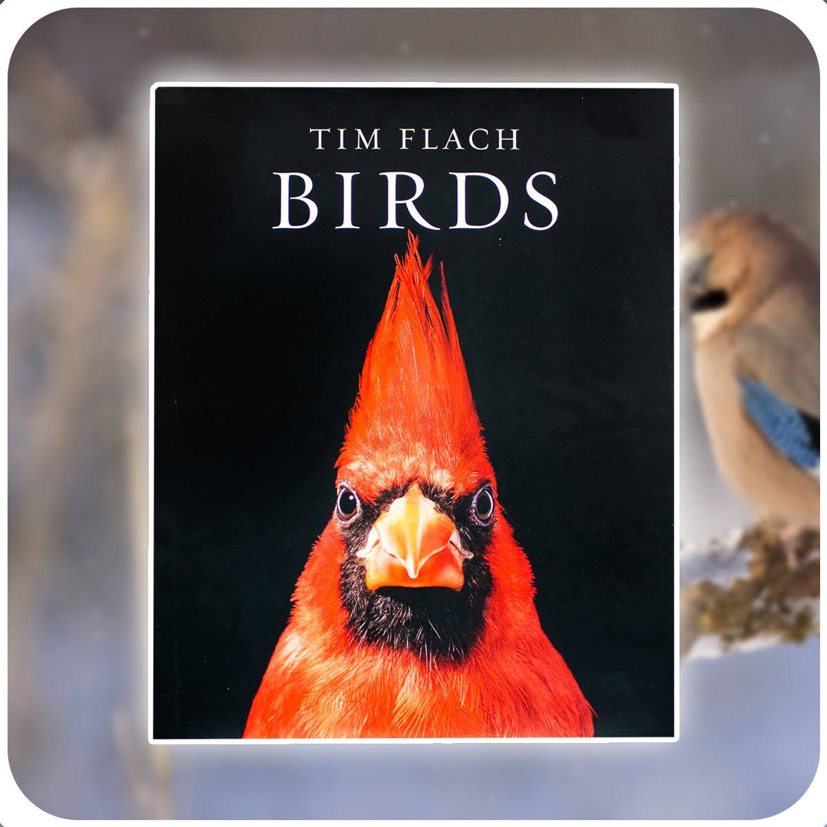 Birds [Book]