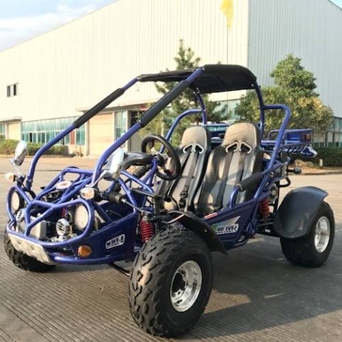 300cc Go Kart XRX-E EFI Fuel Injected Automatic CVT w/Reverse Dune Buggy